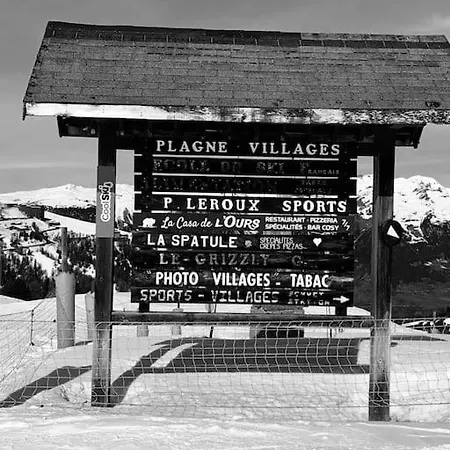 Champagne Et Montagne C201 *